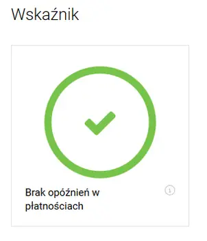 Brak opóźnień wskaźnik